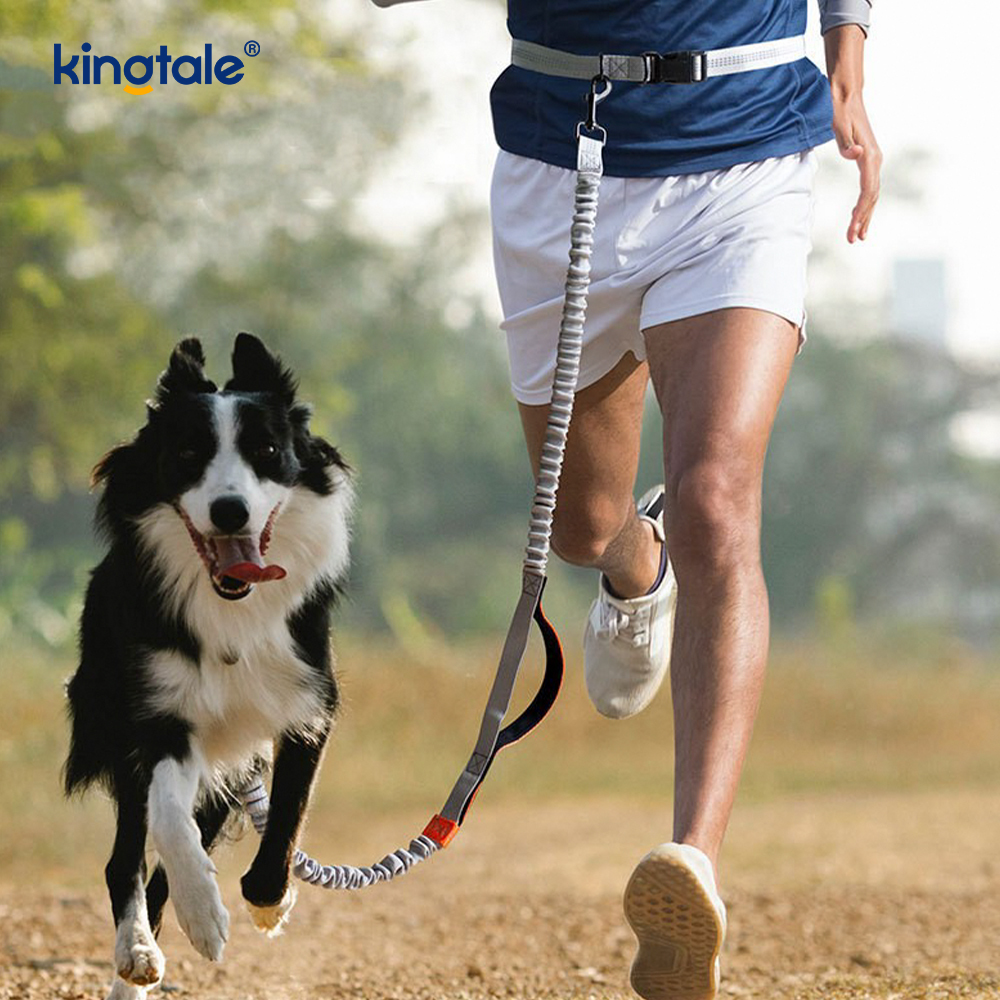 Amazon Reflective Dual-Retractable Dog Leash para sa Outdoor Running