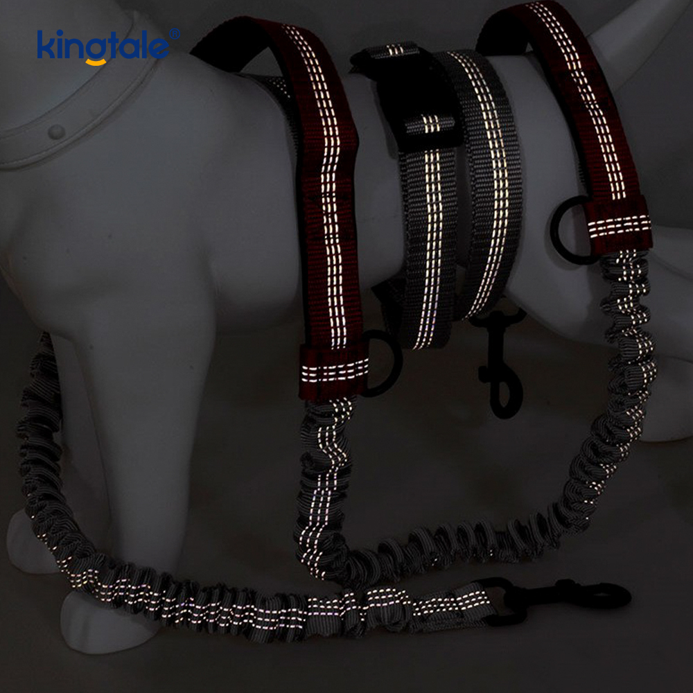 Amazon Reflective Dual-Retractable Dog Leash para sa Outdoor Running