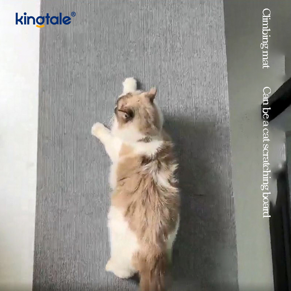 Cat Scratching Self-Adhesive Carpet para sa Proteksyon sa Furniture ng Mga Palit na Pad