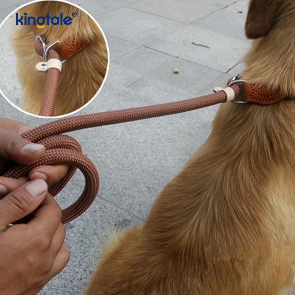Anti-Pull Extra-Long at Thick P-Leash para sa mga Dog Training Slip Lead