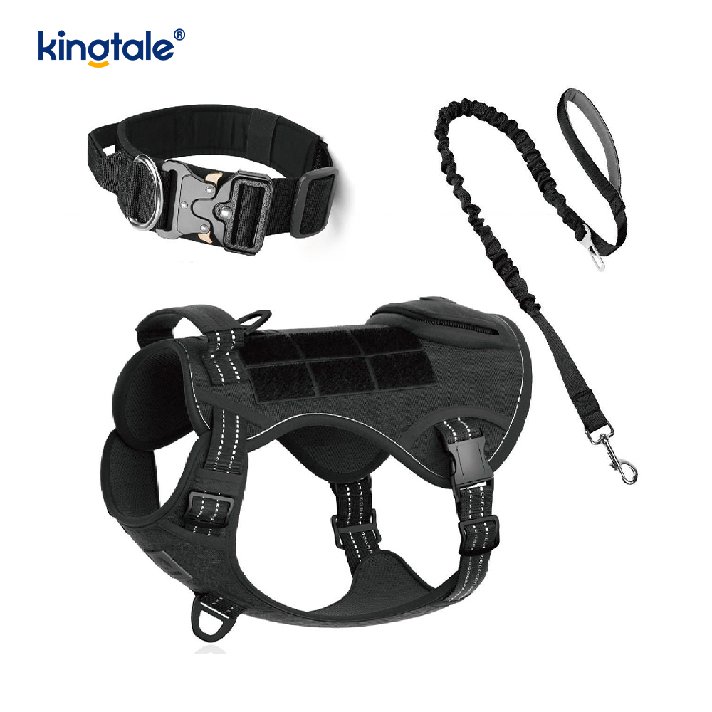 Training Nylon No Pull Dog Collar Leash Harness Set na may Kontrol