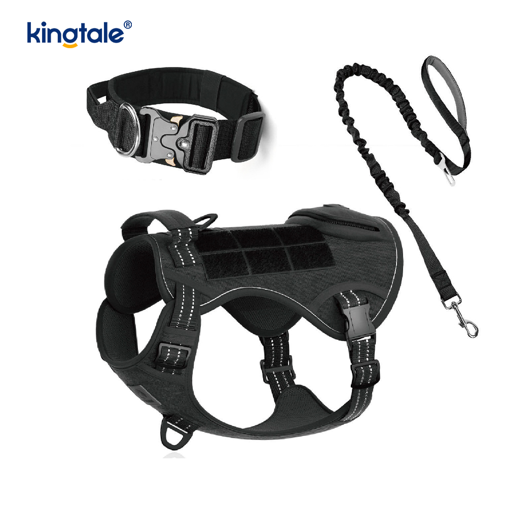 Training Nylon No Pull Dog Collar Leash Harness Set na may Kontrol