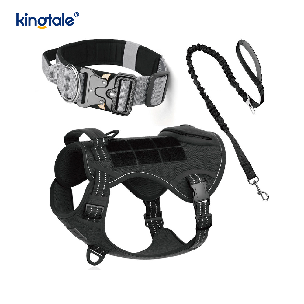 Training Nylon No Pull Dog Collar Leash Harness Set na may Kontrol