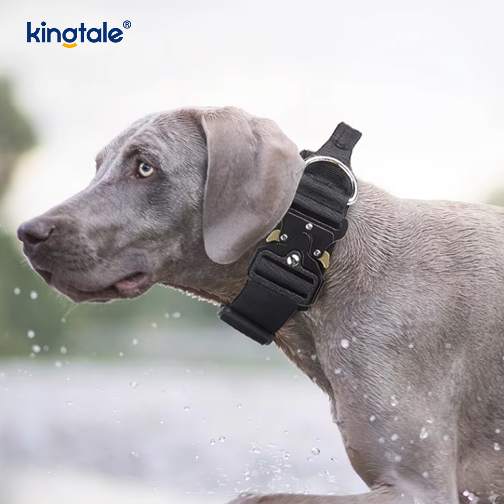 Training Nylon No Pull Dog Collar Leash Harness Set na may Kontrol