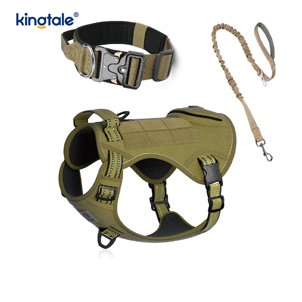 Training Nylon No Pull Dog Collar Leash Harness Set na may Kontrol